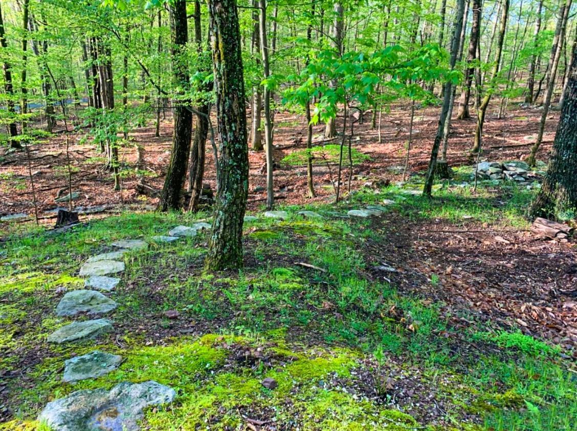 Chalet W Hot Tub, Large Deck, Grill, & Fast Wifi Berkeley Springs Eksteriør bilde